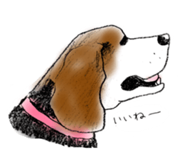 He is a beagle. sticker #12463458