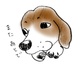 He is a beagle. sticker #12463460