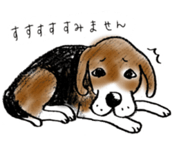 He is a beagle. sticker #12463462