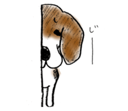 He is a beagle. sticker #12463466