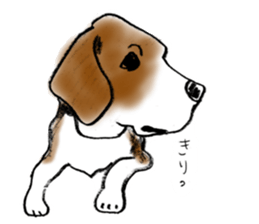 He is a beagle. sticker #12463469