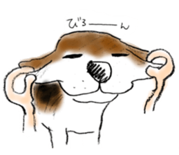 He is a beagle. sticker #12463471