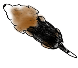 He is a beagle. sticker #12463477