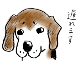 He is a beagle. sticker #12463478