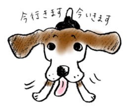 He is a beagle. sticker #12463479