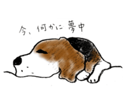 He is a beagle. sticker #12463480