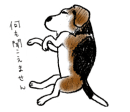 He is a beagle. sticker #12463482