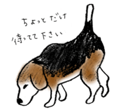 He is a beagle. sticker #12463485