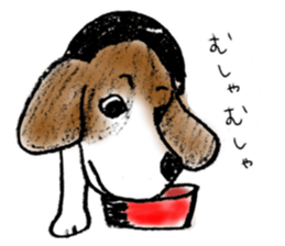 He is a beagle. sticker #12463489