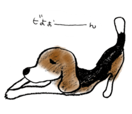 He is a beagle. sticker #12463491