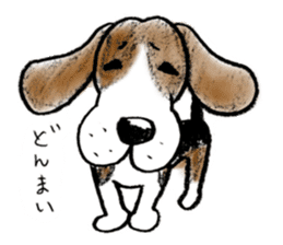 He is a beagle. sticker #12463492