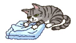 Relaxed cats of the animation sticker #12464642
