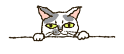 Relaxed cats of the animation sticker #12464645