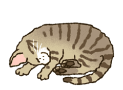 Relaxed cats of the animation sticker #12464650