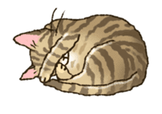 Relaxed cats of the animation sticker #12464655