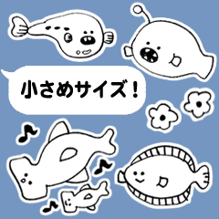 little fish brothers01