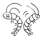 little fish brothers01 sticker #12465041