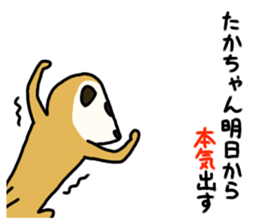 TAKA chang Sticker Meerkat version sticker #12465434
