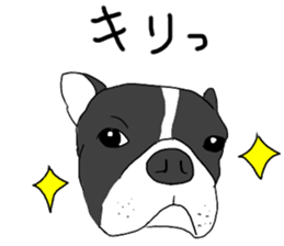 Monroe sticker #12465649