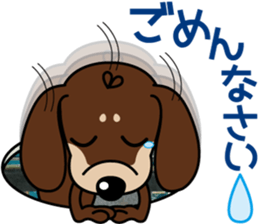 The M.Dachshund's name is "Gaku"Part3 sticker #12467105