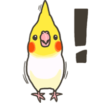 Cockatiel and Grey Parrot 2 sticker #12467704