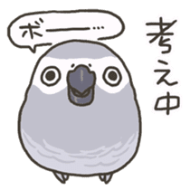 Cockatiel and Grey Parrot 2 sticker #12467733
