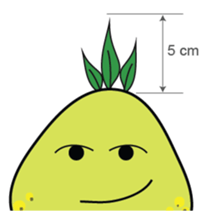 Mr. C.Pomelo sticker #12469561