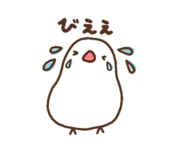 Moni of white Java sparrow. sticker #12470127