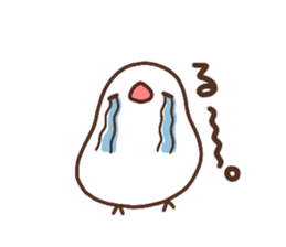 Moni of white Java sparrow. sticker #12470128