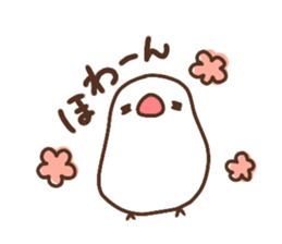 Moni of white Java sparrow. sticker #12470138