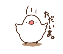 Moni of white Java sparrow. sticker #12470157