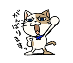 Stray cat Butch sticker #12472126