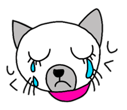 Cute Siamese cat stamp 2 sticker #12473674