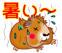 Mole Motchii sticker #12474504