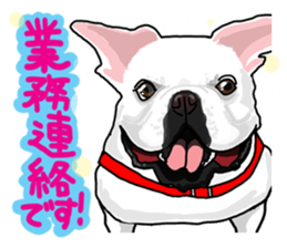 French bulldog family7 sticker #12476661