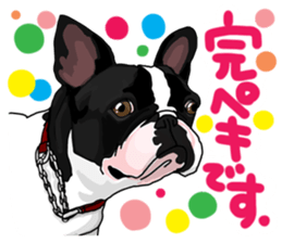 French bulldog family7 sticker #12476669
