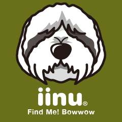 iinu - Bearded Collie
