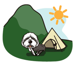 iinu - Bearded Collie sticker #12477965