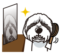 iinu - Bearded Collie sticker #12477974
