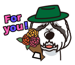 iinu - Bearded Collie sticker #12477981