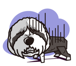 iinu - Bearded Collie sticker #12477987
