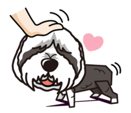 iinu - Bearded Collie sticker #12477991