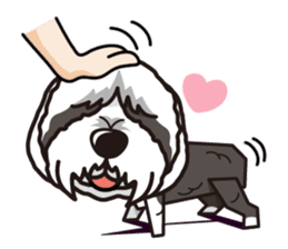 iinu - Bearded Collie sticker #12477991