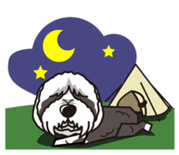 iinu - Bearded Collie sticker #12477996