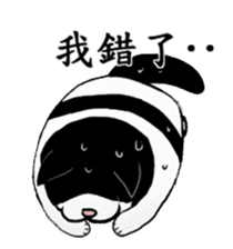 Black and white cat (Ou bei cat) sticker #12478519