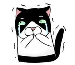 Black and white cat (Ou bei cat) sticker #12478520