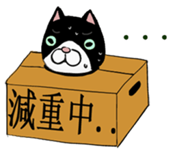 Black and white cat (Ou bei cat) sticker #12478521