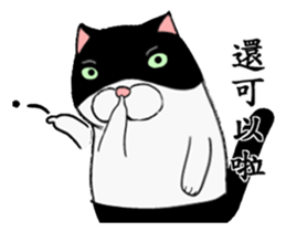 Black and white cat (Ou bei cat) sticker #12478540