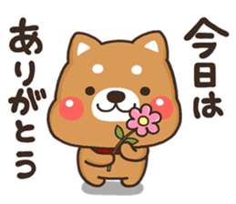 SIBA 001 sticker #12480063