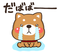 SIBA 001 sticker #12480074